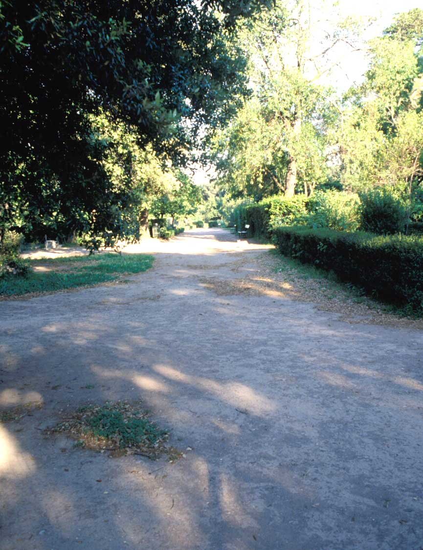 PS9 0031Orti Farnesiani179.jpg