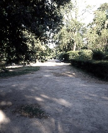 PS9 0179OFGiardini777.jpg