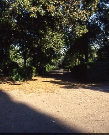PS9 0177OFGiardini775.jpg