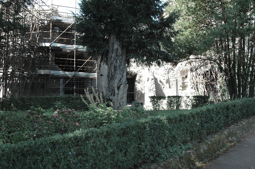 PS9 0054DTAreaNinfeo2007.jpg