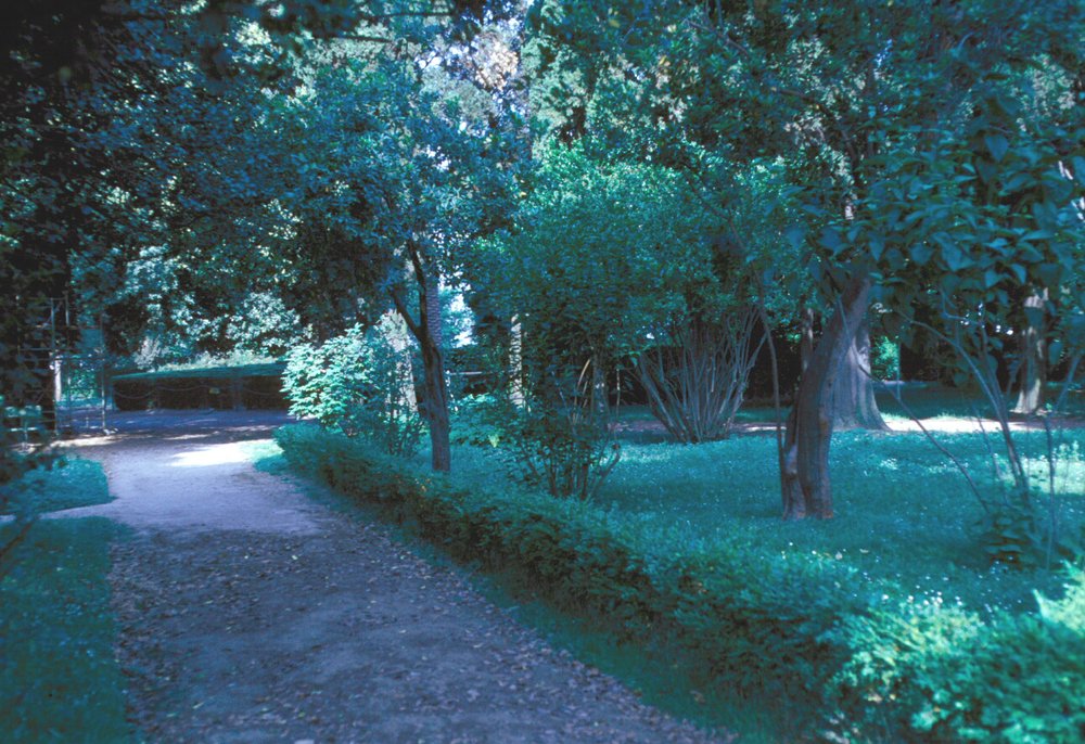 PS9 0007Orti Farnesiani133.jpg