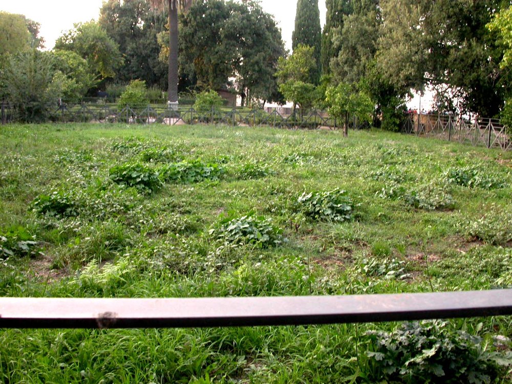 PS9 0047Orti Farnesiani lato occidentale.jpg