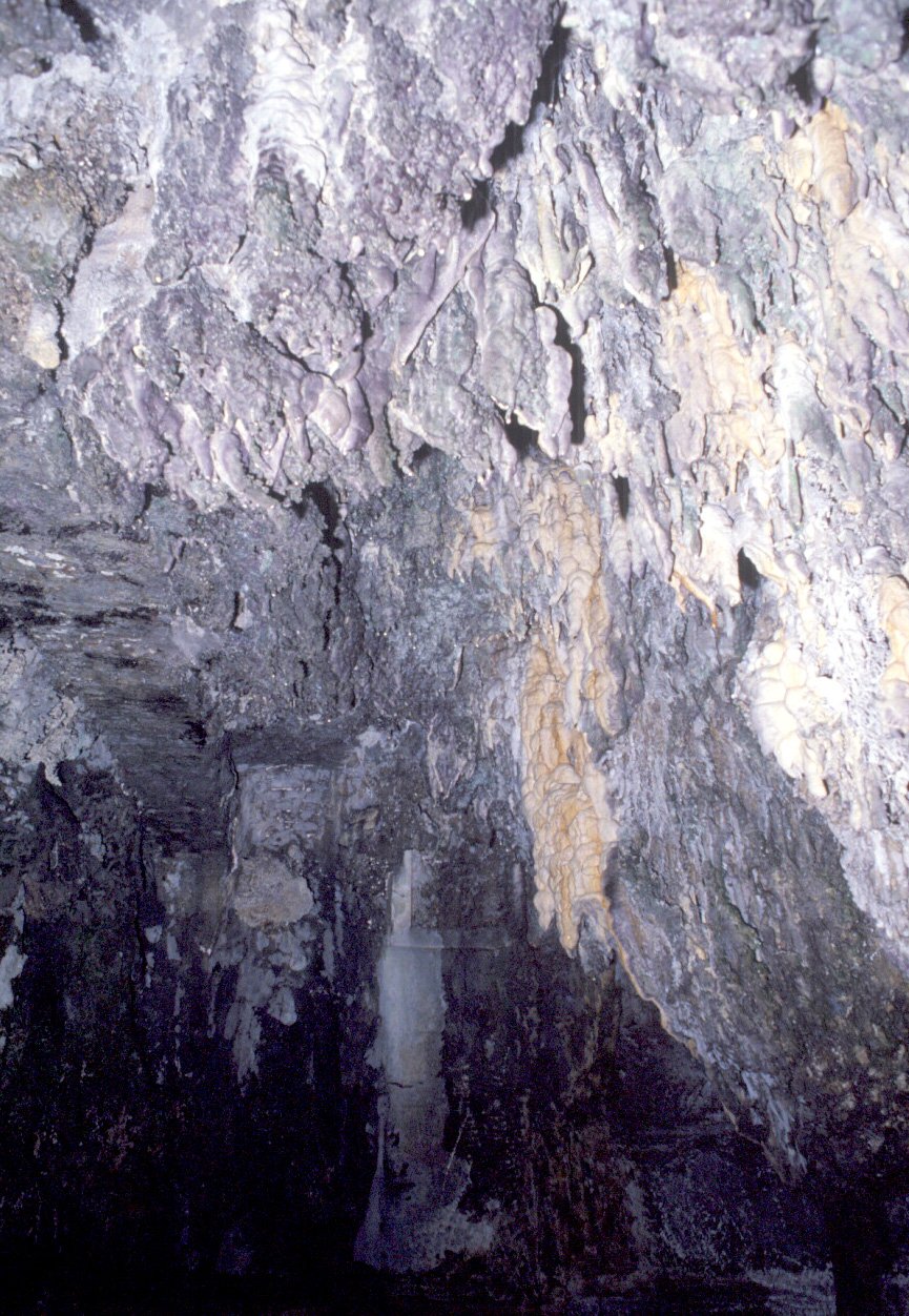 PS9 0086OFArea NinfeoPartic2000.jpg