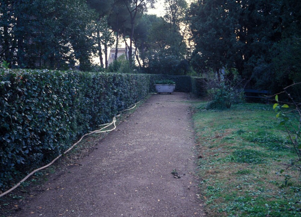 PS9 0024Orti Farnesiani169.jpg