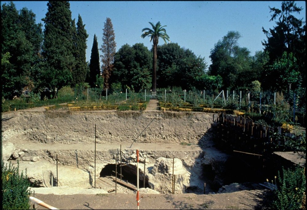 PS9 0151Viridarium Fig. 2.jpg