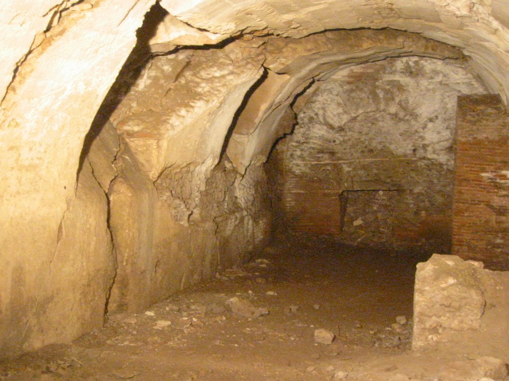 PS9 0231-2BracSudCriptopInPartLiberTerraLesionVolta2004.jpg
