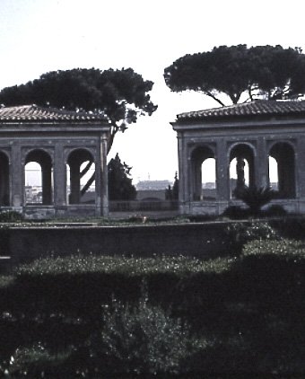 PS9 0166OFUccellerie788.jpg