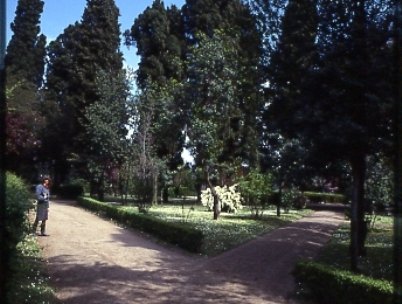 PS9 0168OFGiardiniParticViale757.jpg