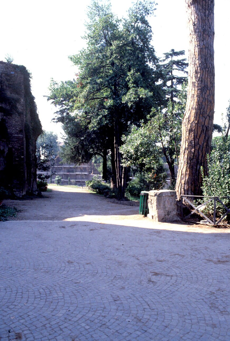 PS9 0002Orti Farnesiani15.jpg