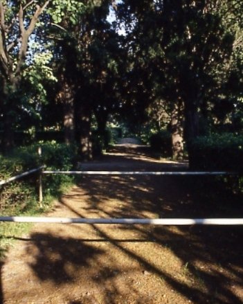 PS9 0178OFGiardini776.jpg
