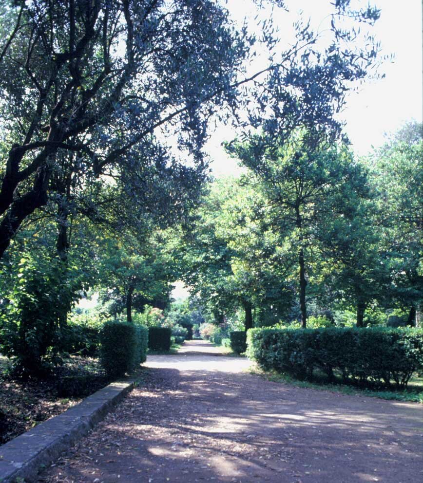 PS9 0029Orti Farnesiani175.jpg