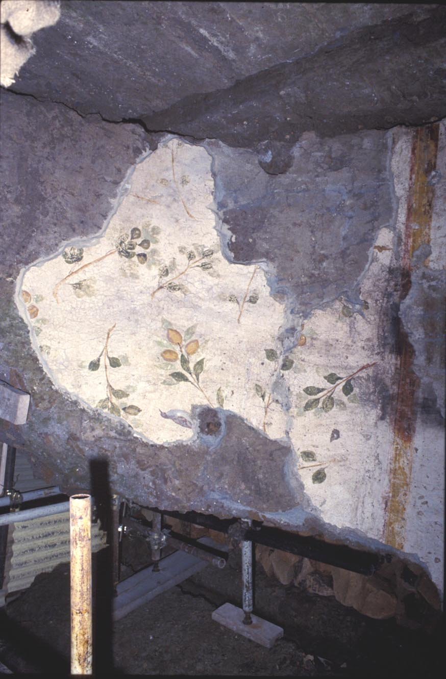 PS9 0185Cripto Portici sotto Orti Farnesiani 1992 02.jpg