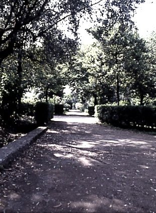 PS9 0172OFGiardini764.jpg