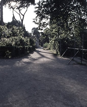 PS9 0180OFGiardini778.jpg