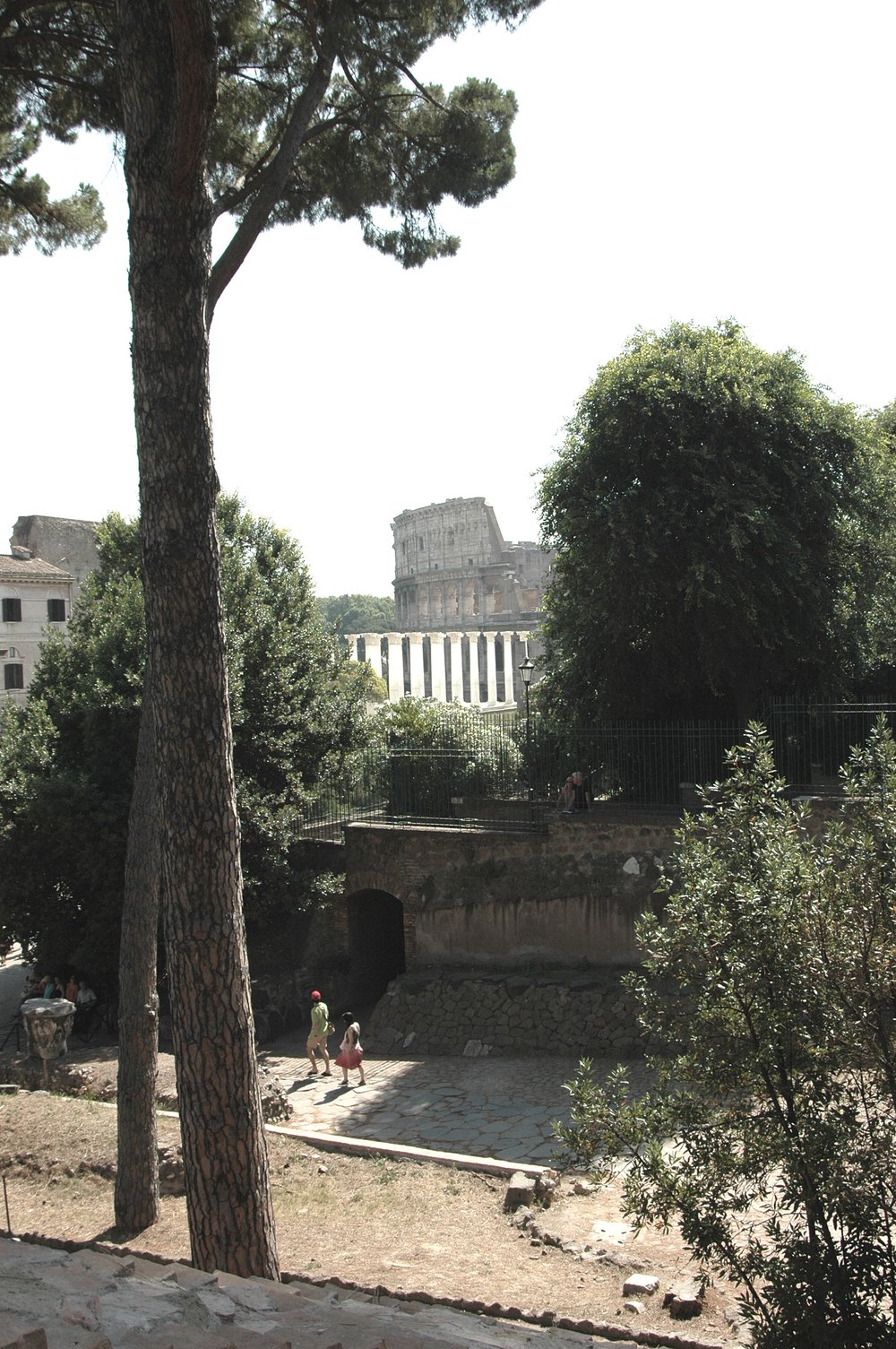 PS9 0052DTAreaNinfeo2007.jpg