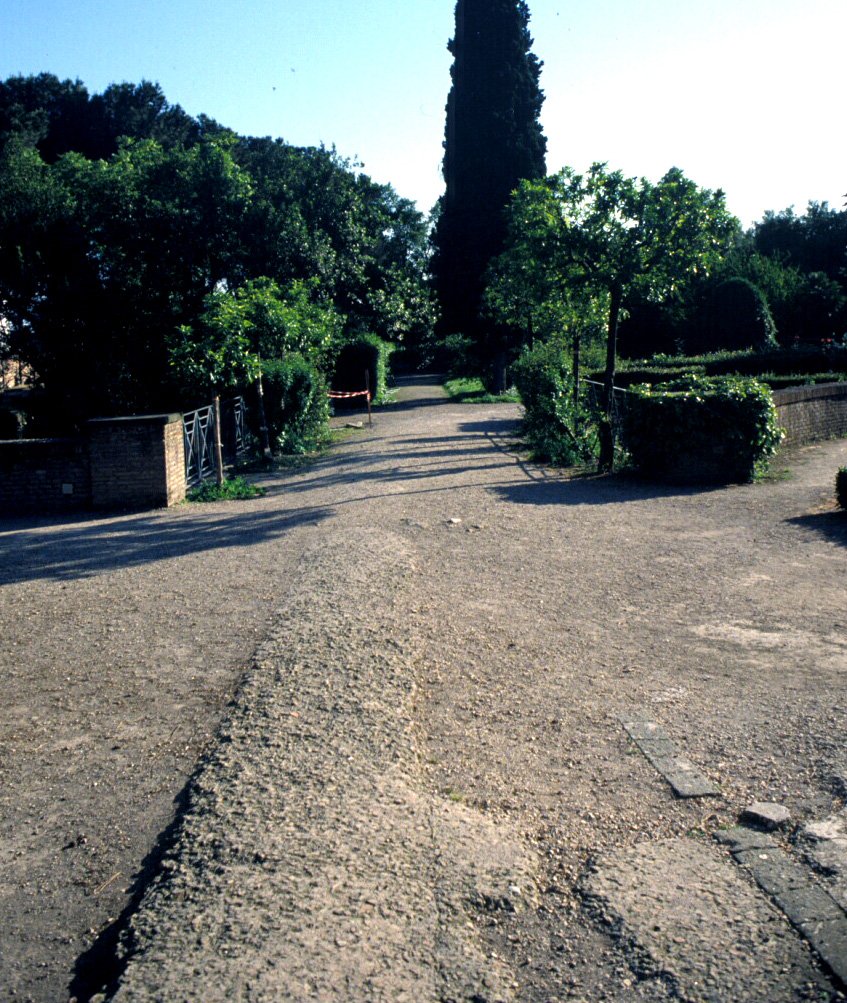 PS9 0095OFGiardini.jpg