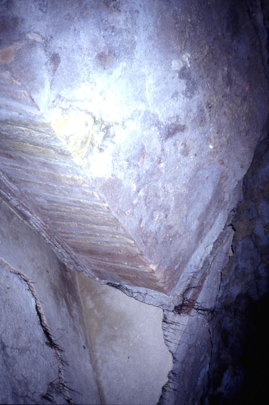 PS9 0198Cripto Portici sotto Orti Farnesiani 1992 16.jpg