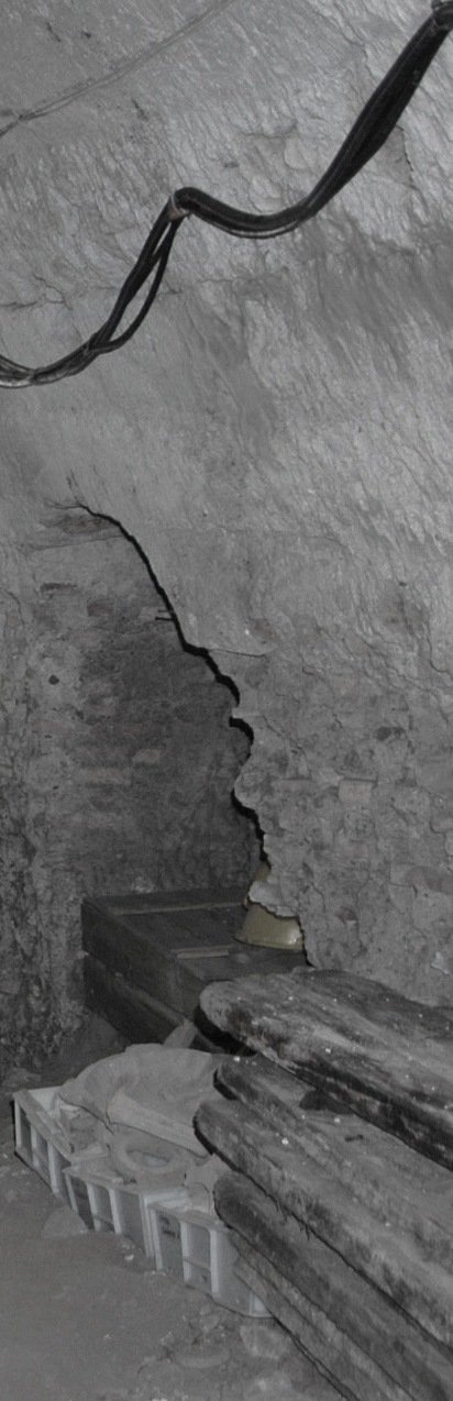 PS9 0242CriptopBracOvestLatDestrSottoHorti20071284Partic.jpg