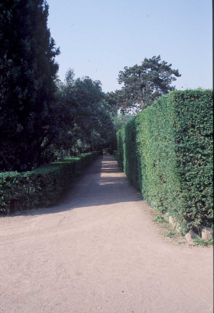 PS9 0026Orti Farnesiani172.jpg