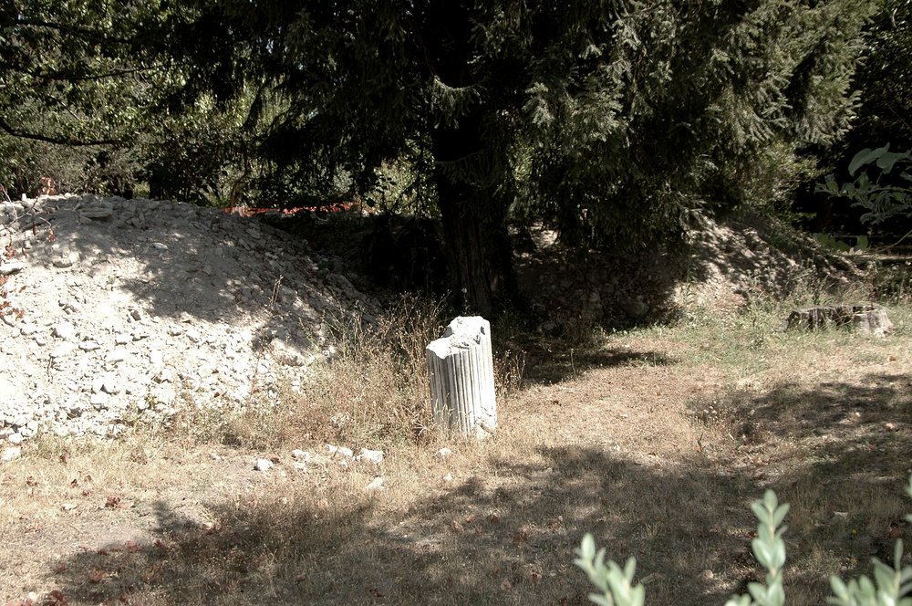 PS9 0149OrtFarnsottoCriptopSondaggi20071375.jpg