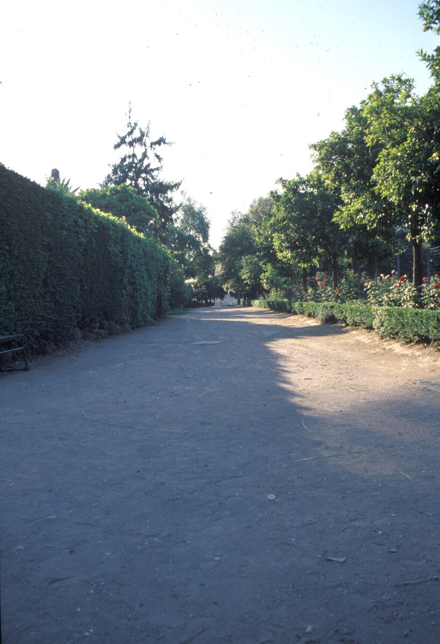 PS9 0021Orti Farnesiani166.jpg