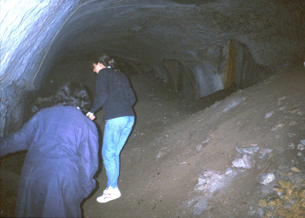 PS9 0205Cripto Portici sotto Orti Farnesiani 1992 25.jpg
