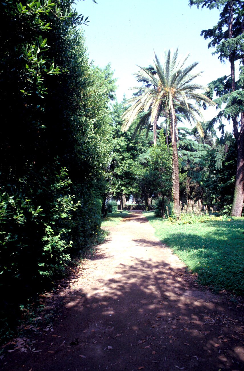 PS9 0004Orti Farnesiani121.jpg