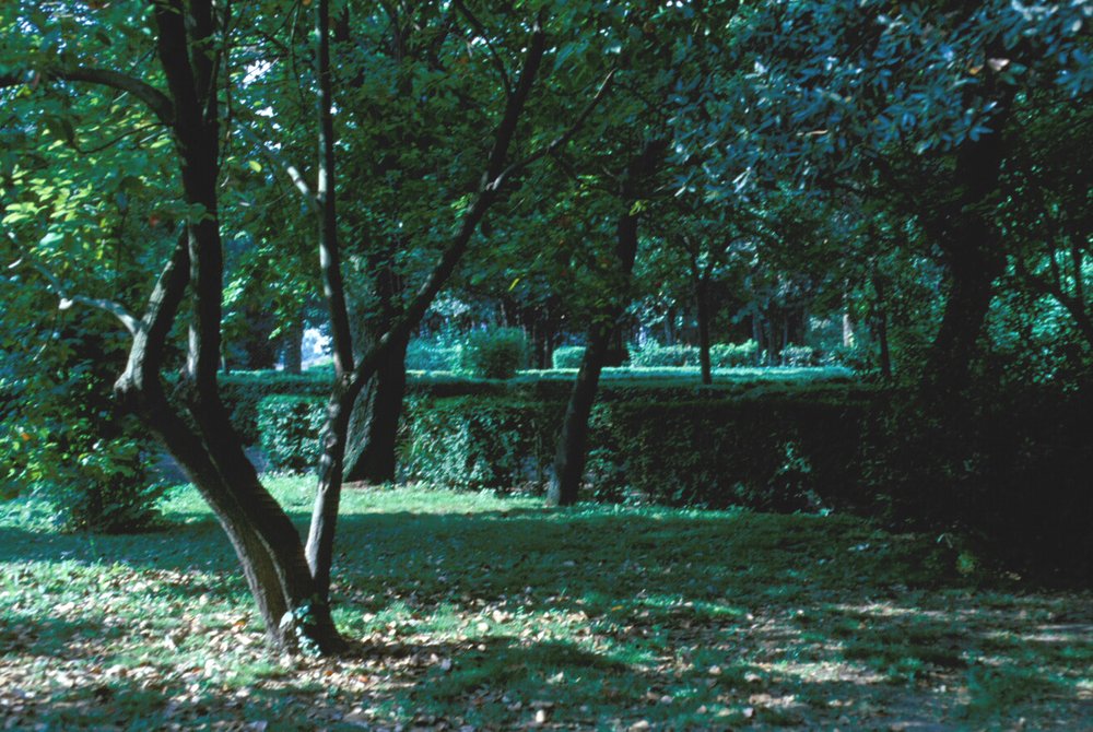 PS9 0006Orti Farnesiani132.jpg