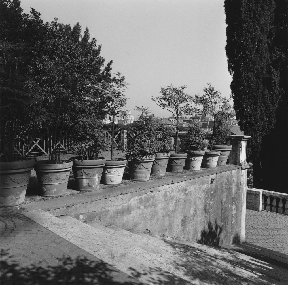PS9 0113CVNinfeoRicognizioneAnno2002.JPG
