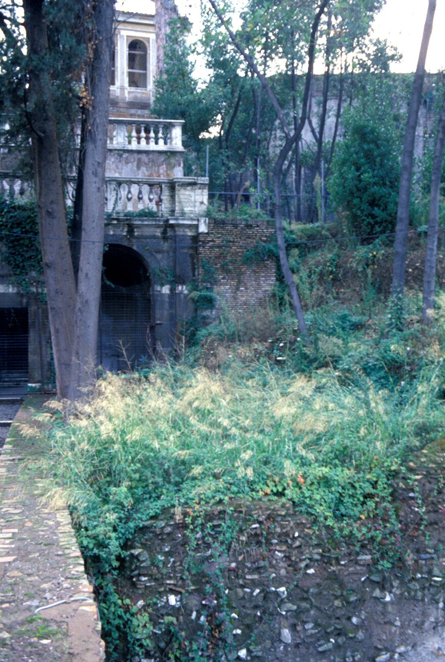 PS9 0082OFArea Ninfeo2000.jpg