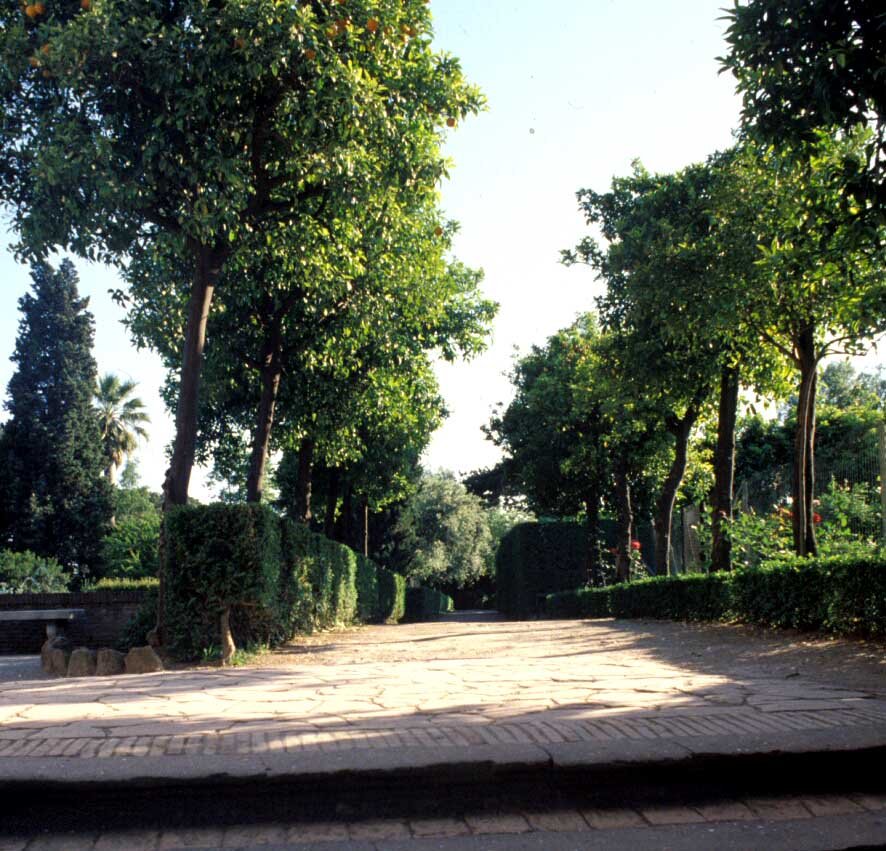 PS9 0033Orti Farnesiani181.jpg