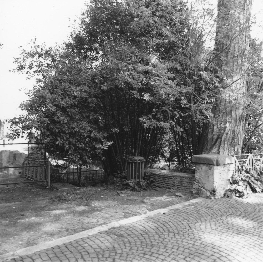 PS9 0114CVNinfeoRicognizioneAnno2002.JPG