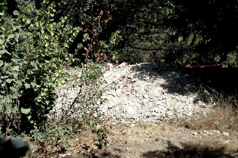 PS9 0150OrtFarnsottoCriptopSondaggi20071376.jpg