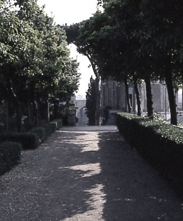 PS9 0182OFGiardini786.jpg