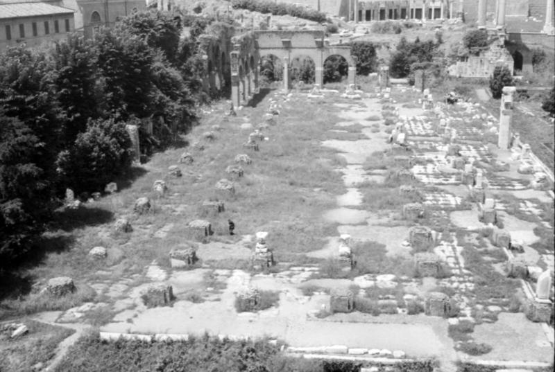 1-00016/ 07558/ 16786 - Roma - Foro Romano