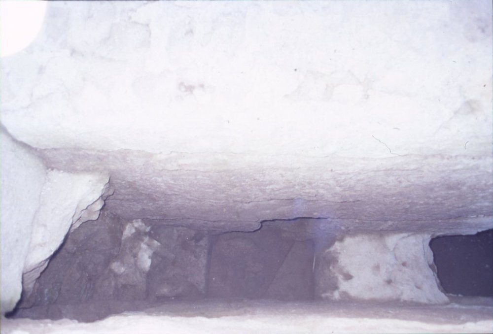 DT056.jpg