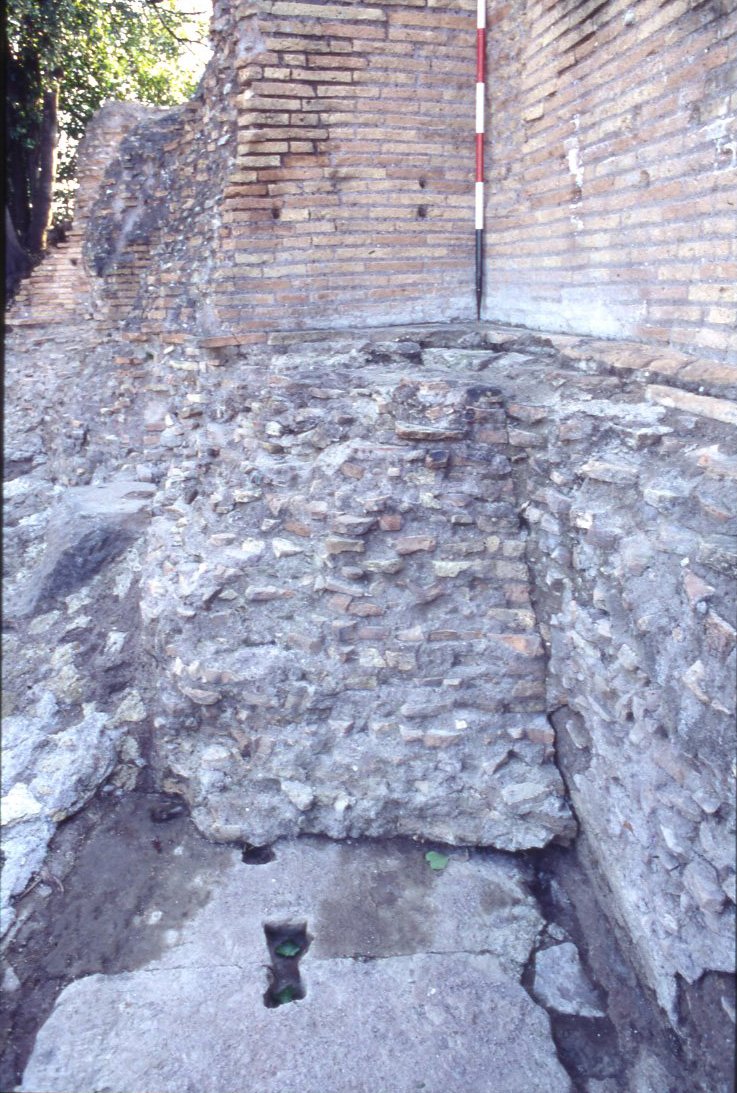 DT081.jpg