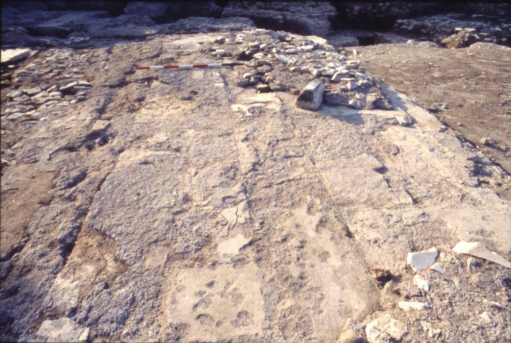 DT094.jpg