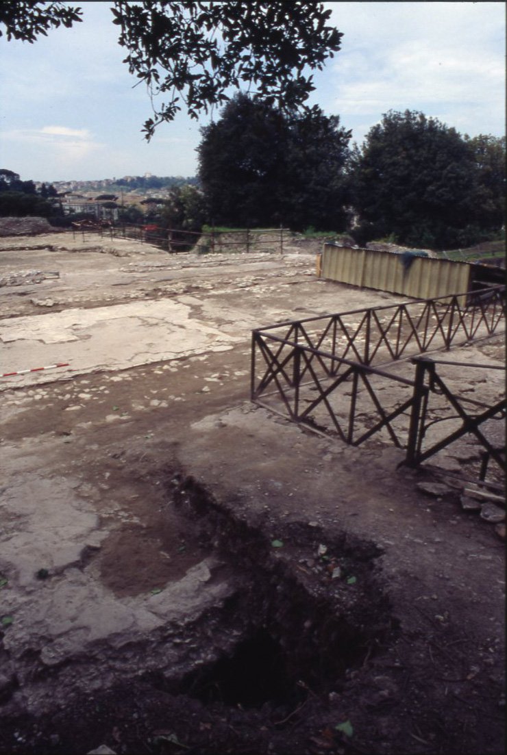 DT100.jpg