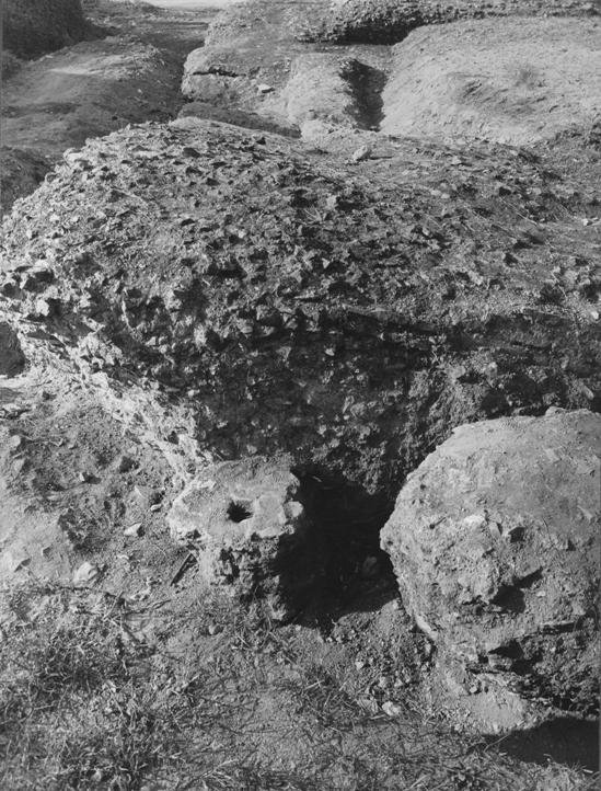 PS1 0907.JPG
