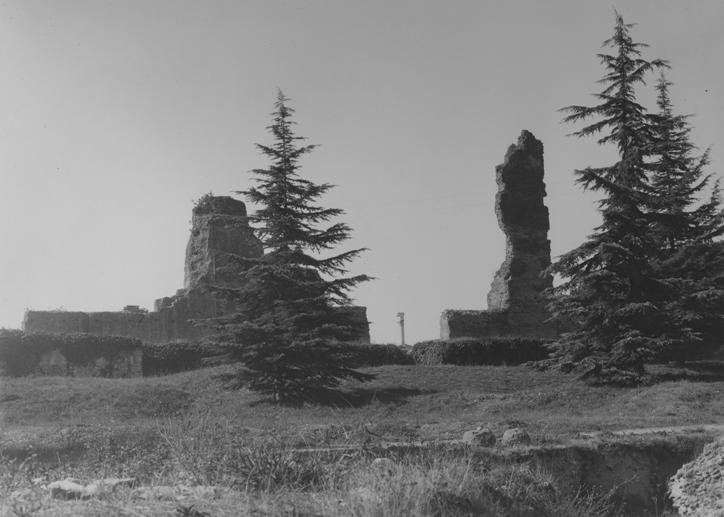 PS1 0900.JPG