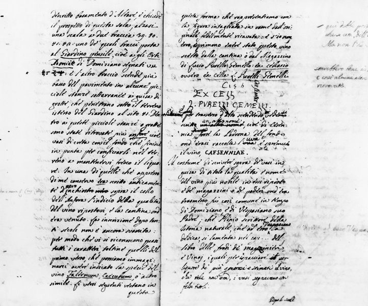 003728 - elaborato grafico - Domus Flavia: cod. CCCCXXXVI della Biblioteca Capitolare di Verona