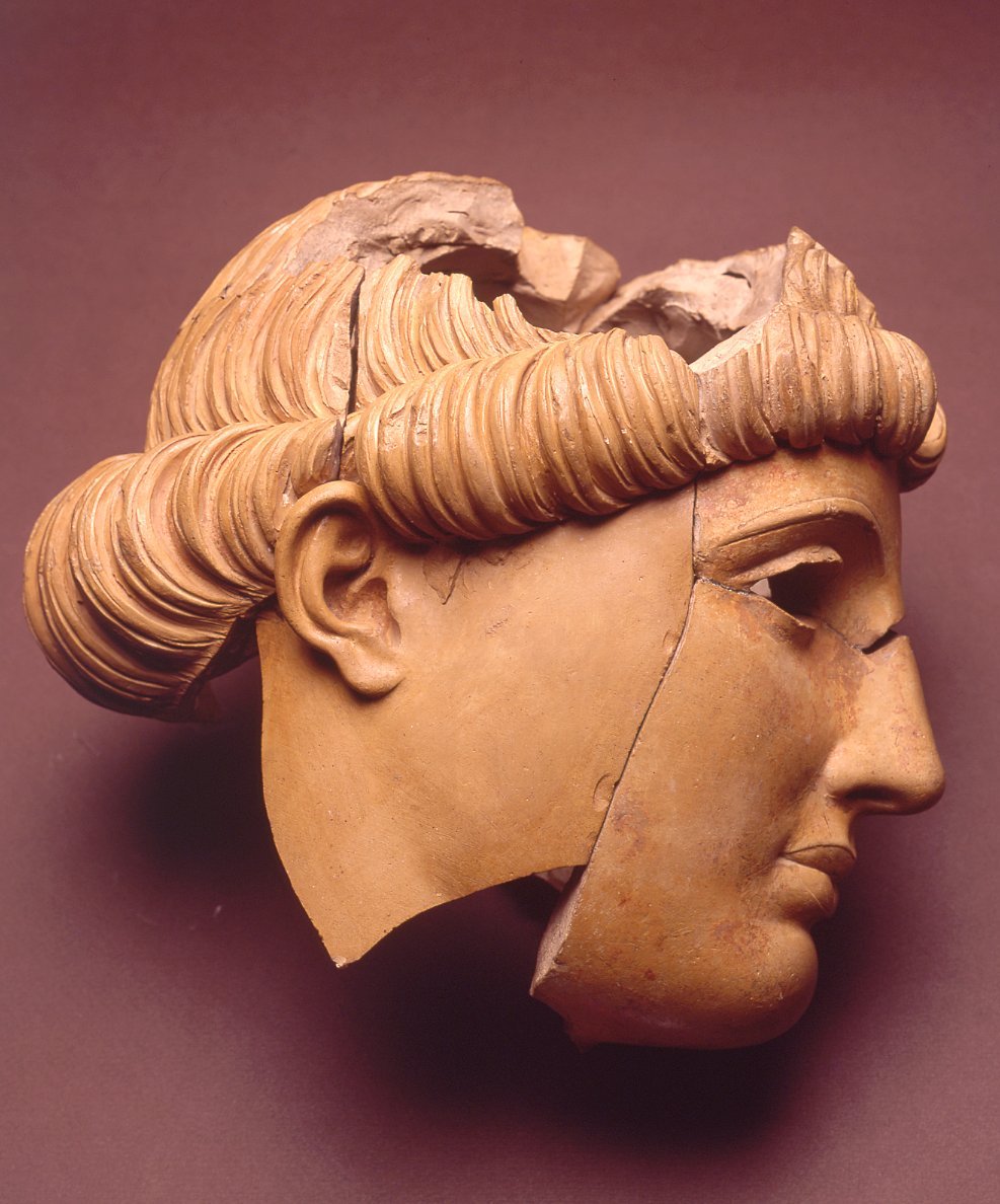 19DTTesta 9740.tif