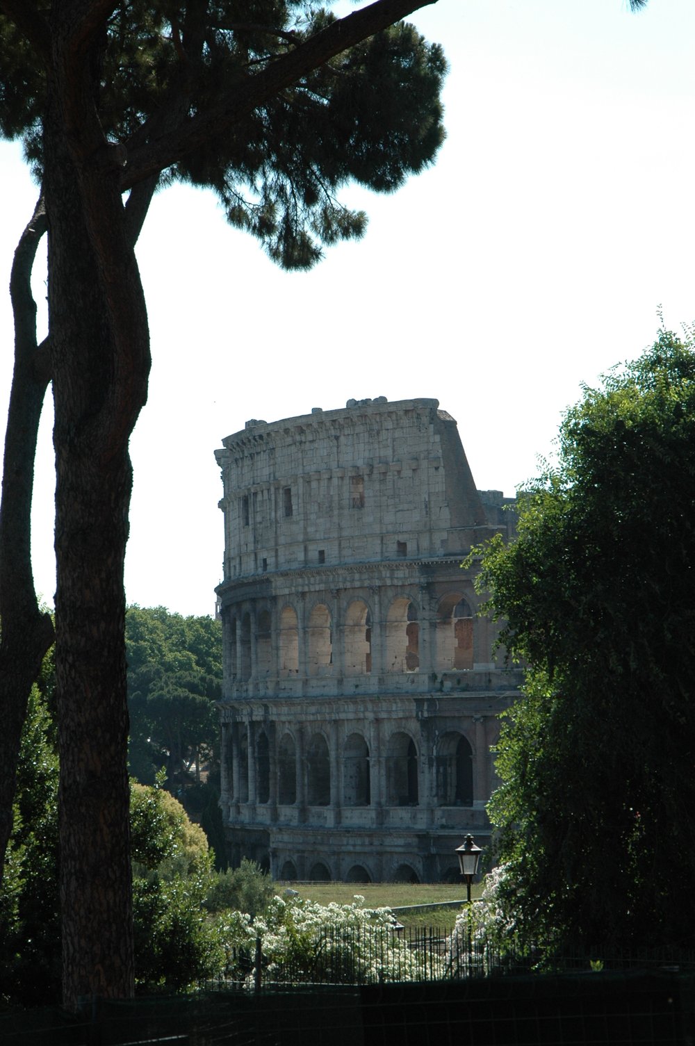 DSC_0427.jpg