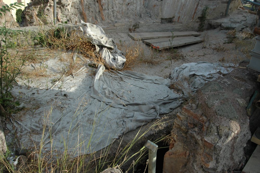 DSC_0398.jpg