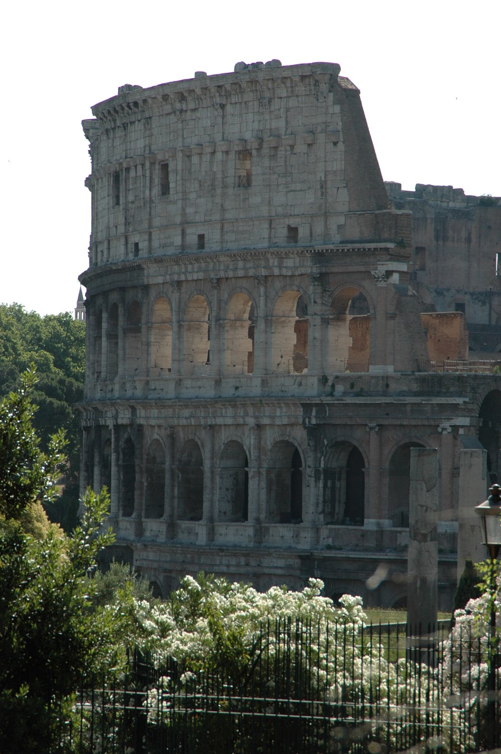 DSC_0428.jpg