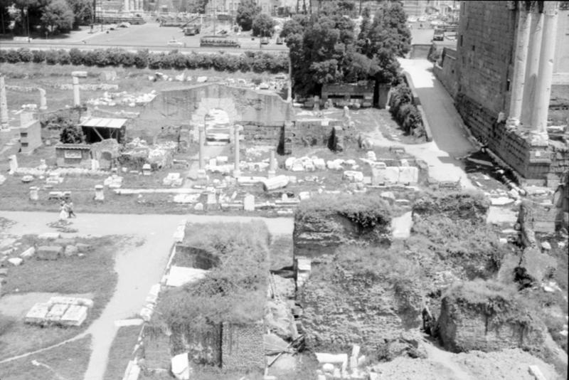 1-00016/ 07558/ 16786 - Roma - Foro Romano