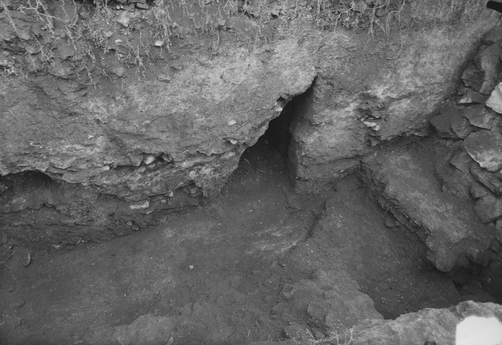 PS9 0394DTC-LatoSettentrionaleVedutadopoScavo1966N2527.JPG