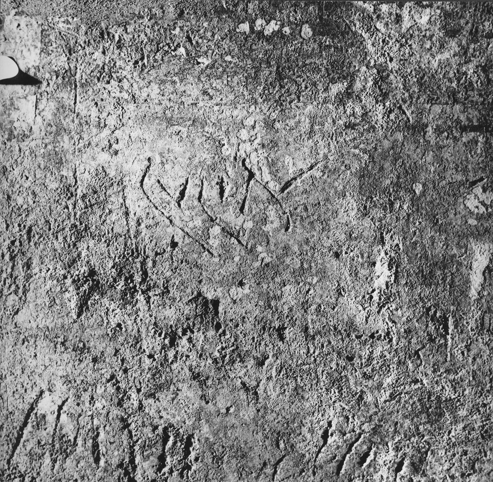 PS9 0419DTCNeronianoGraffitoInternoDipPareteOrientaleN1041.JPG