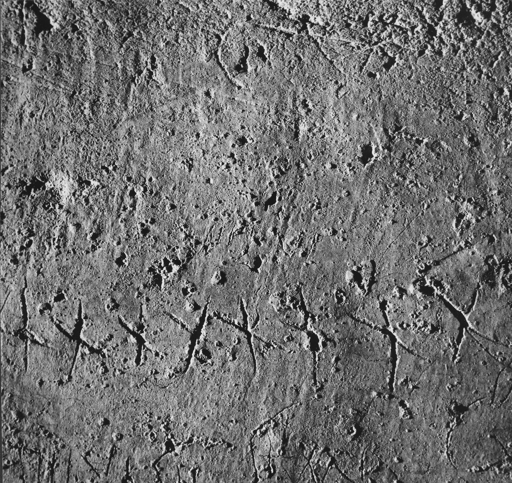PS9 0435DTCNeronianoGraffiti1966N1272.JPG